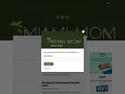 miami-mom.com snapshot
