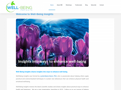 wellbeing-insights.com snapshot