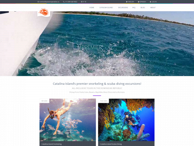 passionparadise.co snapshot