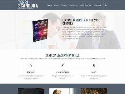 terriscandura.com snapshot