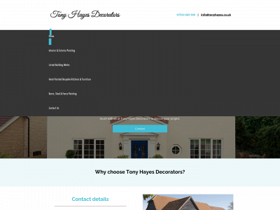 tonyhayes.co.uk snapshot