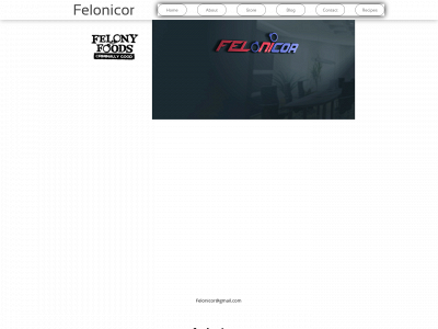 felonicor.com snapshot
