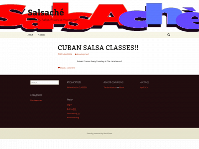 salsache.co.uk snapshot