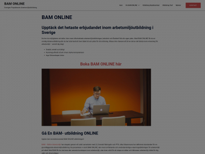 bamonline.nu snapshot