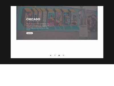fiftyfivebrands.com snapshot