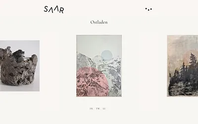 saardebuysere.be snapshot