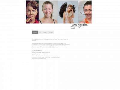 amyalsegard.se snapshot