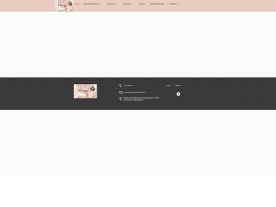 ballonique.nl snapshot