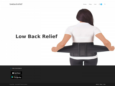 lowbackrelief.com snapshot