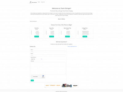 team-stringer.com snapshot