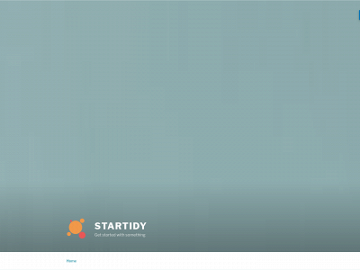 startidy.com snapshot