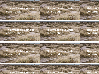 donxhon.com snapshot