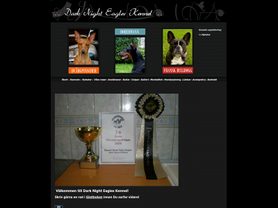darknighteagles.com snapshot