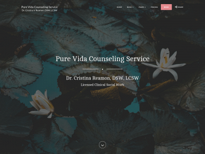 purevidacounseling.com snapshot