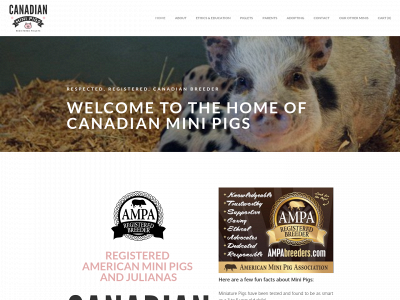 www.canadianminipigs.ca snapshot
