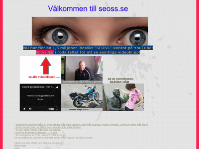 seoss.se snapshot