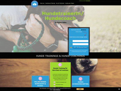 souldogstraining.de snapshot