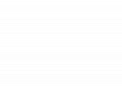 burinot.com snapshot