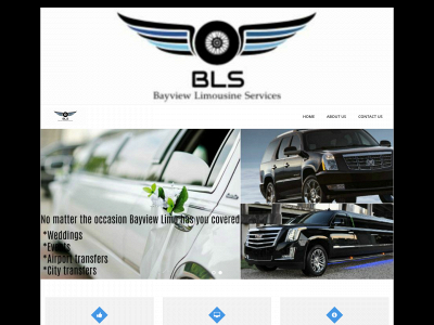 bayviewlimoservices.com snapshot