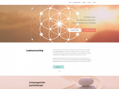 lisamerelle.nl snapshot