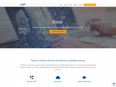 tdnyc.com snapshot