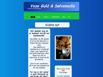 vaseguld.dk snapshot