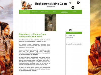 blackberrys-mc.de snapshot