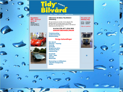 tidyfalkenberg.se snapshot