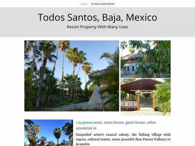 globalandlocalrealestate.com snapshot