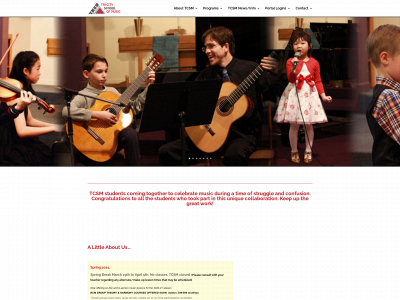tricityschoolofmusic.com snapshot
