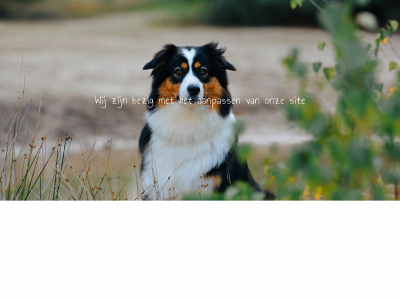 canislazuli.be snapshot