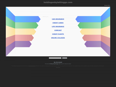 holdingonbylettinggo.com snapshot