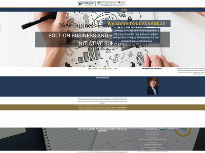 leverage30.com snapshot