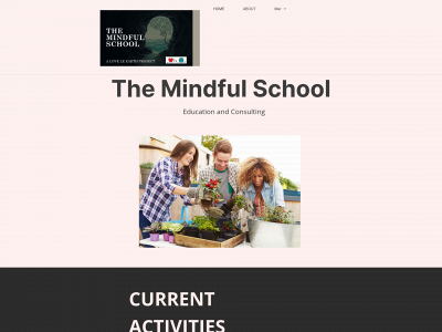 the-mindful-school.com snapshot