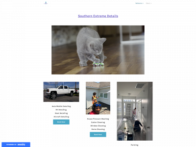 www.extremedetailsllc.com snapshot