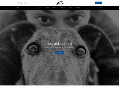 nylawdog.com snapshot