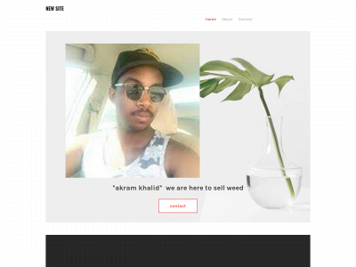 akramkhalidfreeweed.weebly.com snapshot