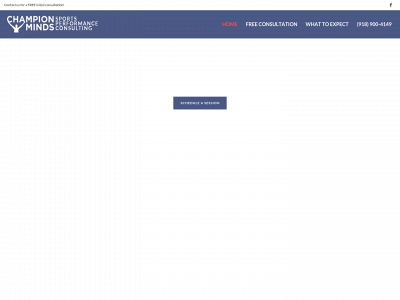 championmindsllc.com snapshot
