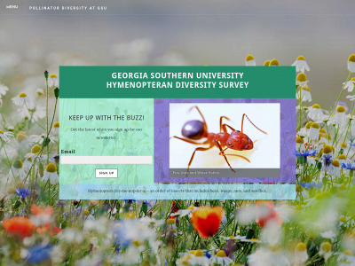 thebuzzaboutpollinators.weebly.com snapshot