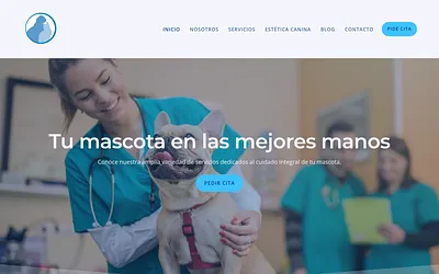 cvlaslagunas.es snapshot