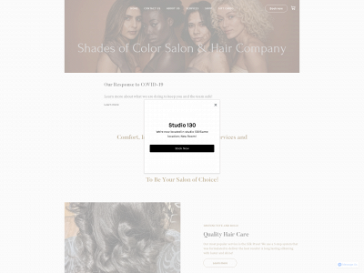 www.shadesofcolorhaircompany.com snapshot