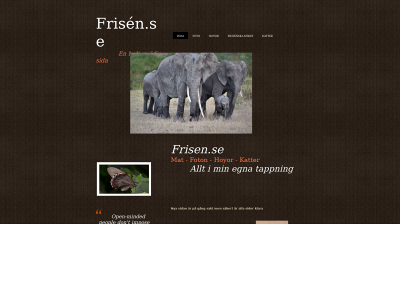 frisen.se snapshot
