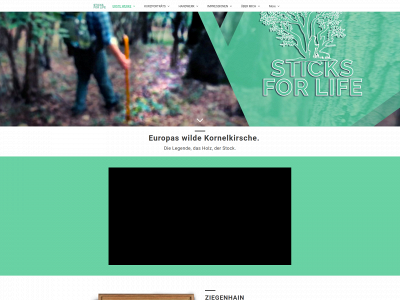 sticksforlife.de snapshot
