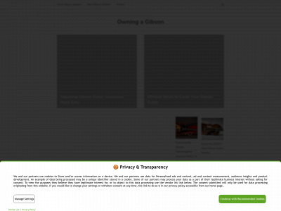 owningagibson.com snapshot