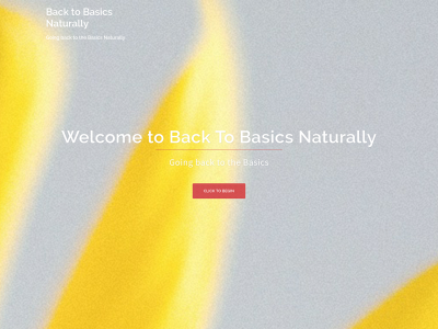 backtobasicsnaturally.com snapshot