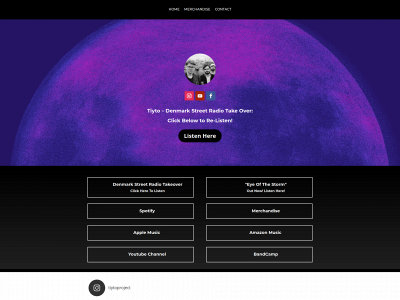 tiytoproject.co.uk snapshot