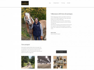 storabergstugan.se snapshot