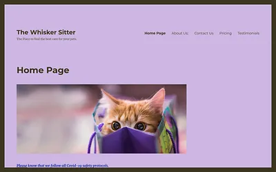 thewhiskersitter.com snapshot