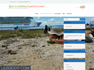 legolevi.com snapshot