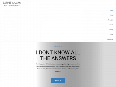 idontknowalltheanswers.com snapshot